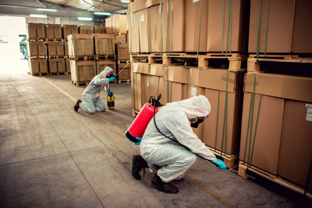 Best Termite Control Services  in Norris, TN