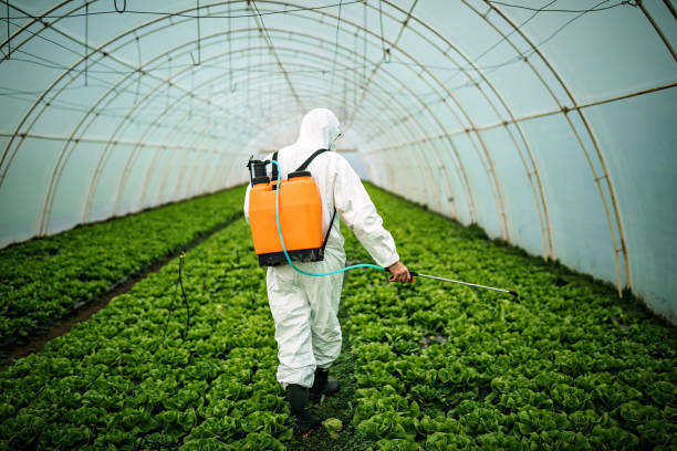 Best Residential Pest Control  in Norris, TN