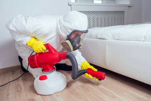 Best Local Pest Control Services  in Norris, TN