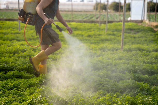 Best Affordable Pest Control Services  in Norris, TN