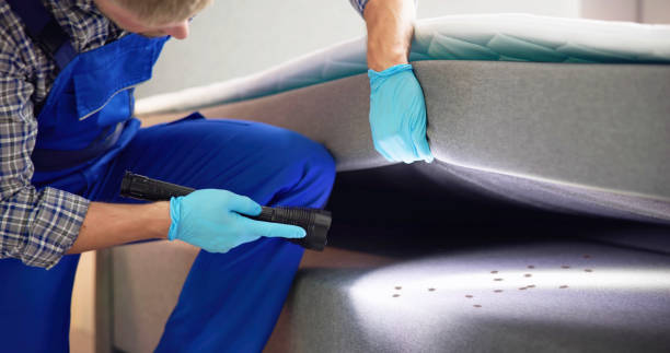 Best Pest Control for Homes  in Norris, TN