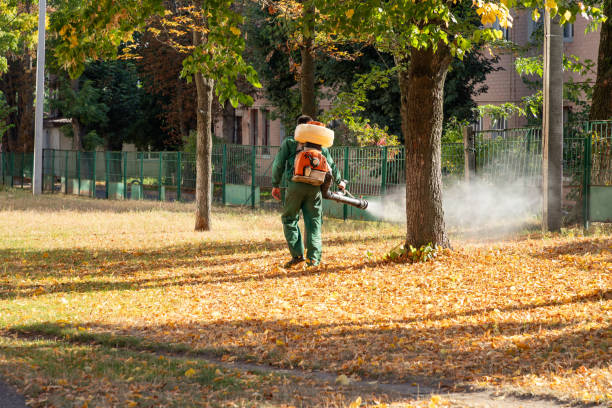Best Wasp Removal Services  in Norris, TN
