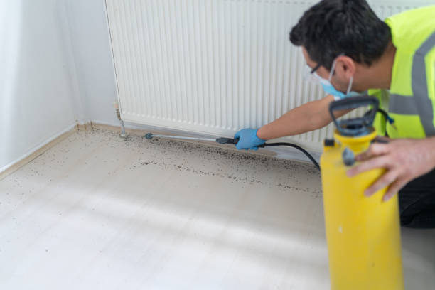 Best Local Pest Control Services  in Norris, TN
