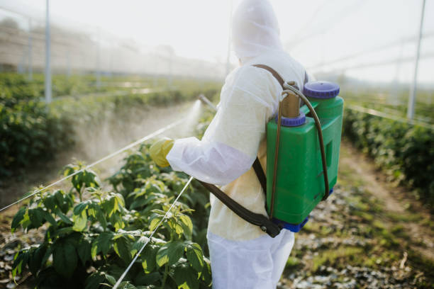 Best Mosquito Control Services  in Norris, TN